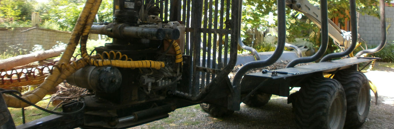 Tanulópénz a sietség számlájára